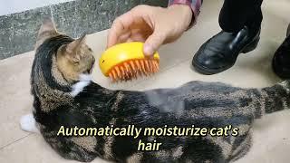 Dry and Wet Steam Cat Brush Massage Essential Tool cat dog Hair Care steamy brush