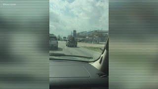 Horse seen in back of pickup truck on Texas highway