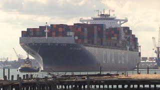 CMA CGM COLUMBA SOUTHAMPTON TO ROTTERDAM 11/07/24