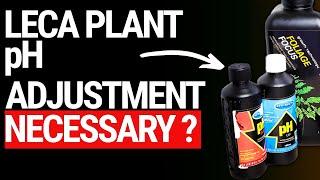 Do You Really Need To Adjust Ph When Growing Plants In Leca?