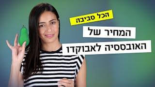 האם פרי האבוקדו מזיק לאיכות הסביבה? | הכל סביבה