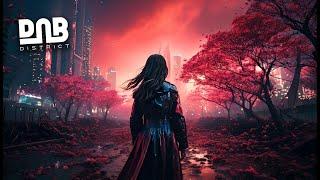 Best Drum and Bass Mix 2024  DnB District PRESENTS: Plyometrics (Guest Mix 005)