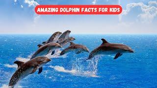 Amazing Dolphin Facts for Kids | Fun & Educational Wildlife Video  #EducationalVideo #TopKidsZone