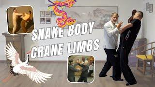 Wing Chun’s Snake Body Crane Limbs