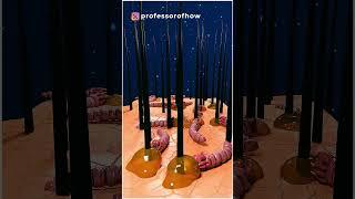 https://youtube.com/shorts/XT8HrAyvhCo?si=WtIdXTgx--XFpdES ------ credit