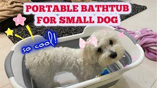 Portable Bathtub for Small Dogs | Maltese Bathtub