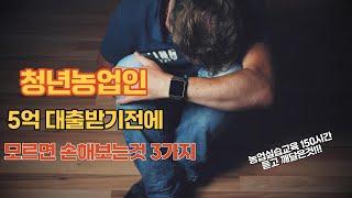 청년창업농 5억대출 받기전에 모르면 손해보는 3가지 , 귀농전 필수영상