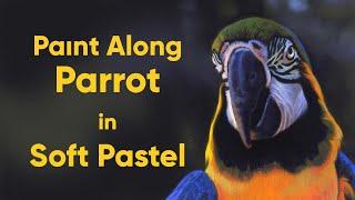 Real Time 'Paint Along' Parrot in Soft Pastel