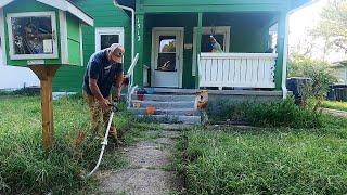 Foster Mom's Lawn RUNNING WILD Out Of Control So We Did This To Help Them Out