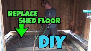 Replace Rotted Shed Floor By Jacking The Shed Up, DIY 12'x12'