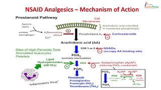 Analgesics and antiinflammatory agents_12-11-18