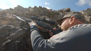 IBEX HUNTING   BEZOAR IBEX &  JAY DEE LA MONT TURKISH FRONTIER