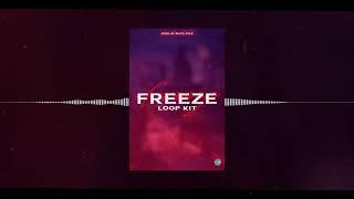 (FREE) "Freeze" Loop Kit (Gunna, Roddy Ricch, Young Thug, Lil Baby, Lil Keed, YSN Flow, Melvoni)