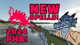 New Spells and Spell rules in D&D 2024 Player's Handbook!