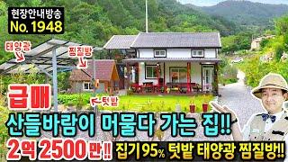 (급매) 산들바람이 조용히 머물다 가는 집 전원주택 매매 급매물 집기 95% 포함 청정 숲속 만여평 국유림과 계곡 텃밭 황토방 태양광 깔끔함이 돋보이는 정선부동산 - 발품부동산TV