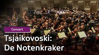 Tsjaikovski - De Notenkraker | Concert