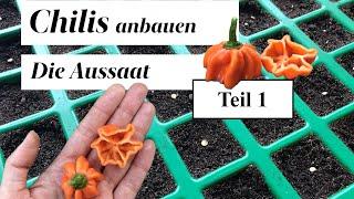 Chilis anbauen Teil 1 - Die Aussaat - Chili Anzucht