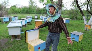 How to populate beehive with bees?