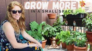 4 Ways to GROW MORE in a Small Space | Balcony Garden Tips