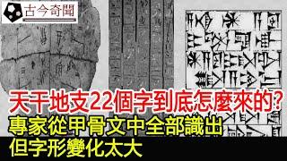 天干地支22個字到底怎麼來的？專家從甲骨文中全部識出，但字形變化太大︱考古︱奇聞︱文物︱國寶#古今奇聞