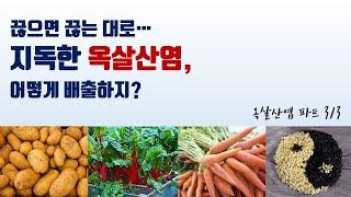 끊으면 더 위험한 옥살산염, 배출 팁! 식물독소 옥살산염 파트3/3 [프리미티브의 건강상식]