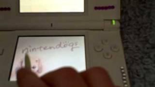 Smilebri1111's Nintendogs Cheats