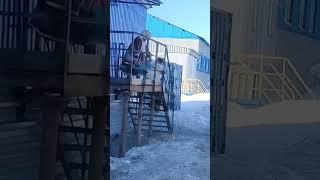 Ненецки