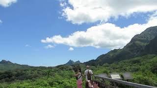 Oahu Views