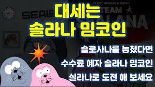 대세는 솔라나 밈코인입니다! 슬로사나를 놓쳤다면 실라나에 도전해서 극한의 수익을 노려 보세요!