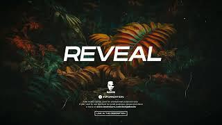 (Free) Dancehall Riddim Instrumental | Afrobeat Type Beat 2023- “Reveal”