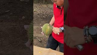 Durian Heaven! Durian Cutting Master - Fruit Cutting Skills