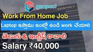 Genpact Work From Job | Zoom meeting | M Tube Jobs