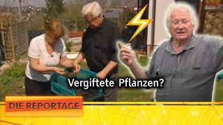 "Das ist ja Blödsinn!" - Streitereien am Gartenzaun  | 1/2 | Die Reportage | ATV