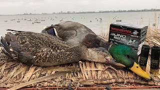 Hunting for Big Water Diver Ducks in Ontario  | Canada in the Rough