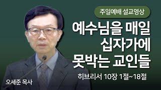 예수님을 매일 십자가에 못박는 교인들(히브리서 10장 1절~18절) 주일예배 새누리교회 오세준목사 2024. 3. 3