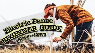 HOW TO INSTALL ELECTRIC FENCE FOR SHEEP AND COWS