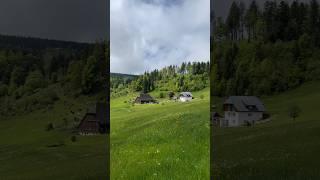 Typical landscape in the Black Forest. southern Germany #nature #mountains #hiking