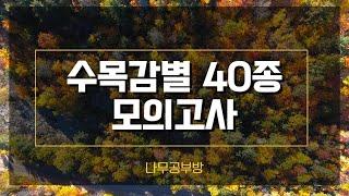 모의고사 40종 (7) / 조경기능사 실기 / 수목감별 표준수종 120종