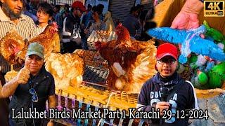 Lalukhet Exotic Birds Hen and Rooster and Unique Parrots Market 29-12-2024 Karachi Latest Updates