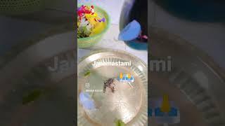 janmashtami puja