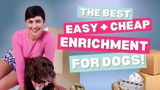 DIY Enrichment for Dogs: Fun and Easy Busy Box Activity
