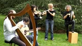 Traditional Irish Music by "The Ghillie's" danse Kesh jig , Eddy kelly (jig) et Drowsy Maggie .