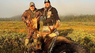 Two Bull Moose Down "Under Extreme Conditions", 2024 Remote Wilderness Tent Hunt in Newfoundland