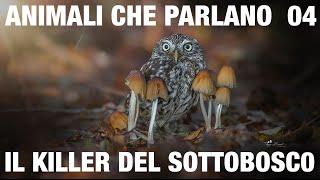 ANIMALI CHE PARLANO – Il killer del sottobosco