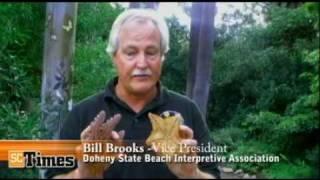 Rainbow Sandals DSBIA _SC Times_BoardShorts_Vol.1, Episode 26.flv