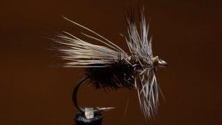 Peacock Caddis