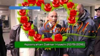 JAALIYADA GALMUDUG STATE EE WAQOOYIGA AMERICA