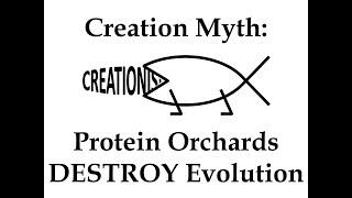 Creation Myth: Protein Orchards DESTROY Evolution