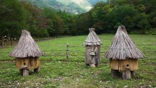 Ульи колоды ulyi kolody