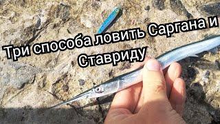 Ловим Саргана и ставриду на Черном море.